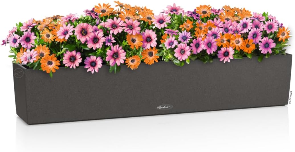 Lechuza BALCONERA Stone 100 Graphite Black, Self-Watering Window Box (Railing Planter), H7.5 L39.4 W7.5 in