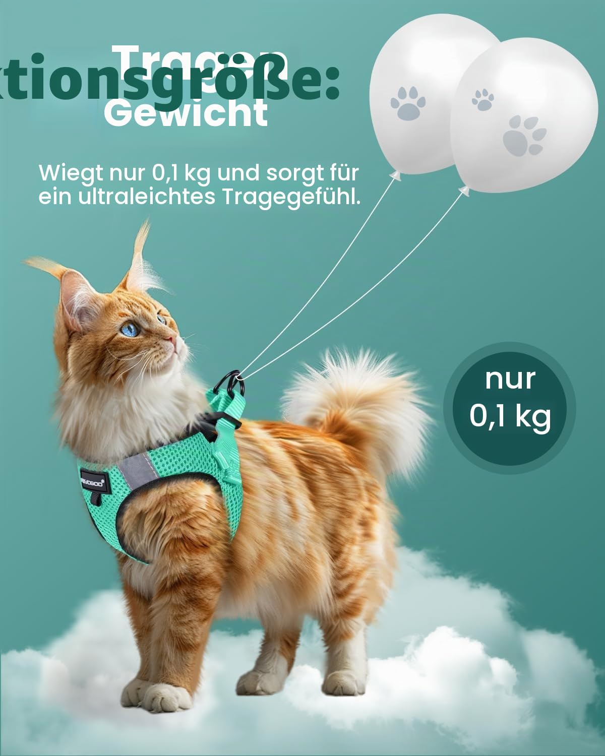 FAYOGOO Katzengeschirr mit Leine Ausbruchsicher einfach anzulegen Set Verstellbar Brustgeschirr für Katzen und Kitten Soft Harness mit Klettverschluss Katzenleine Schleppleine
