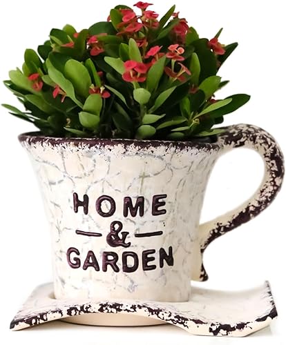 Maceta decorativa para suculentas, maceta de cerámica con bandeja para interiores y exteriores (marrón)