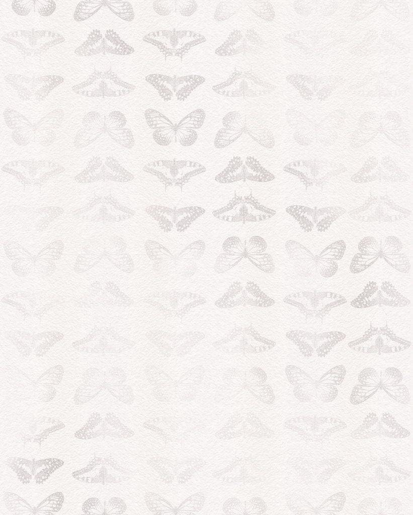 Komar Mur de Papillons Wall Mural