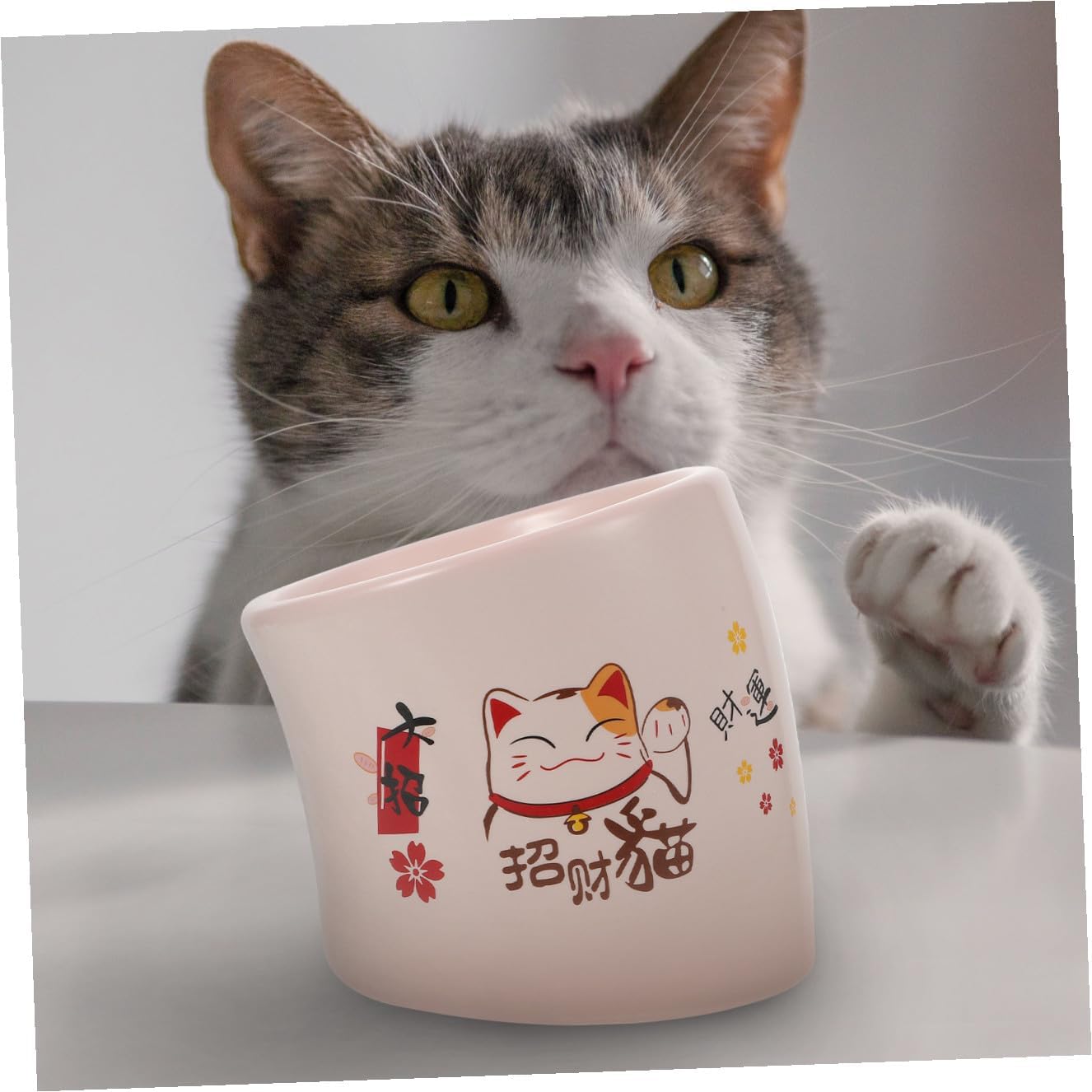 BESTonZON Ceramic Cat Bowl Non-Slip Elevated Pet Feeding Dish with Puppy Base Pink for Spill-Resistant Water and Food Bowls