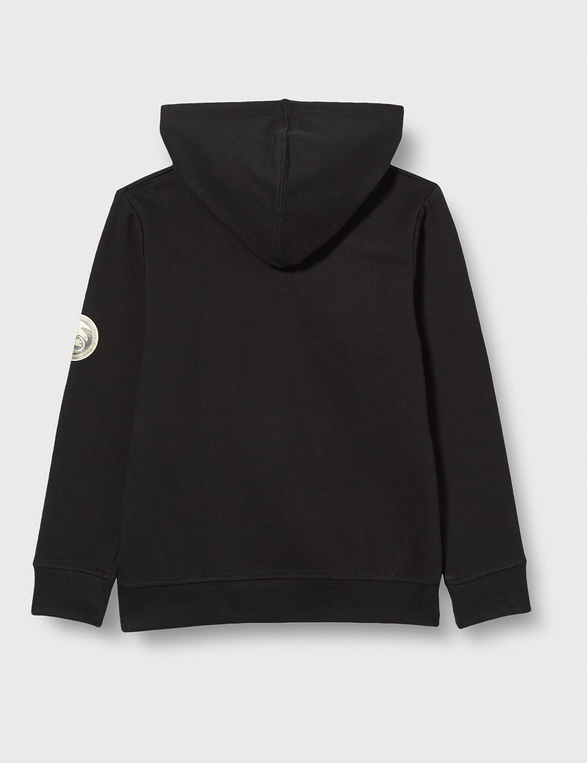 Dragons DreamWorks Hoodie Felpa con Cappuccio Unisex-Bambini