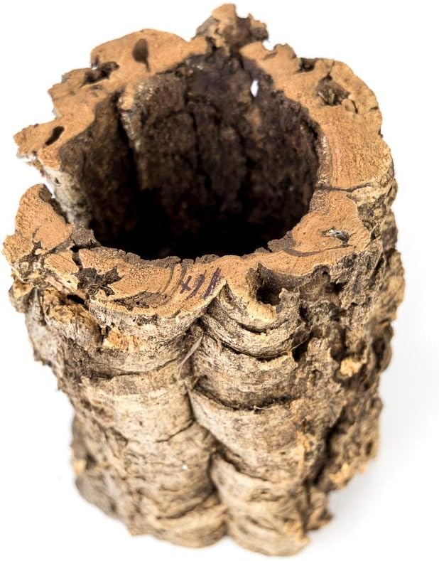 Josh's Frogs Virgin Cork Planters (8 inch Tall)