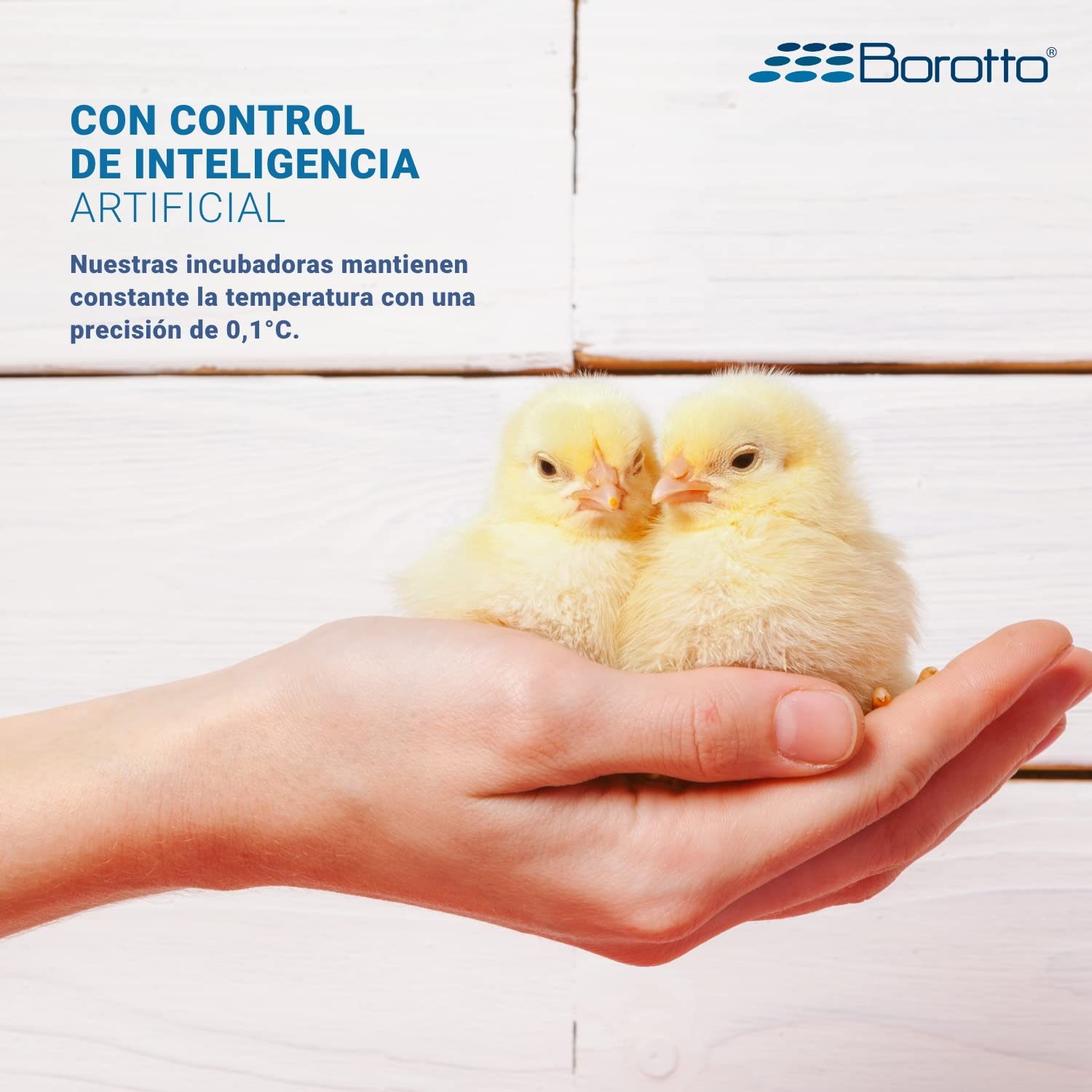 Borotto Lumia 16 Expert | Incubadora de Huevos Automática Profesional Patentada 16 Huevos o 64 Pequeños con Volteador de Huevos Automático, Control de Temperatura, Humidificador Sirio | Made in Italy