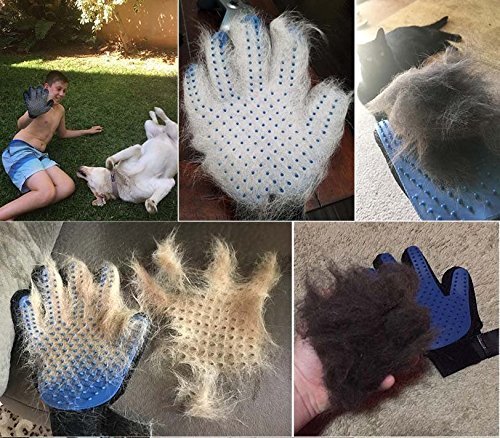 Guanto/spazzola per animali domestici, 2 pezzi