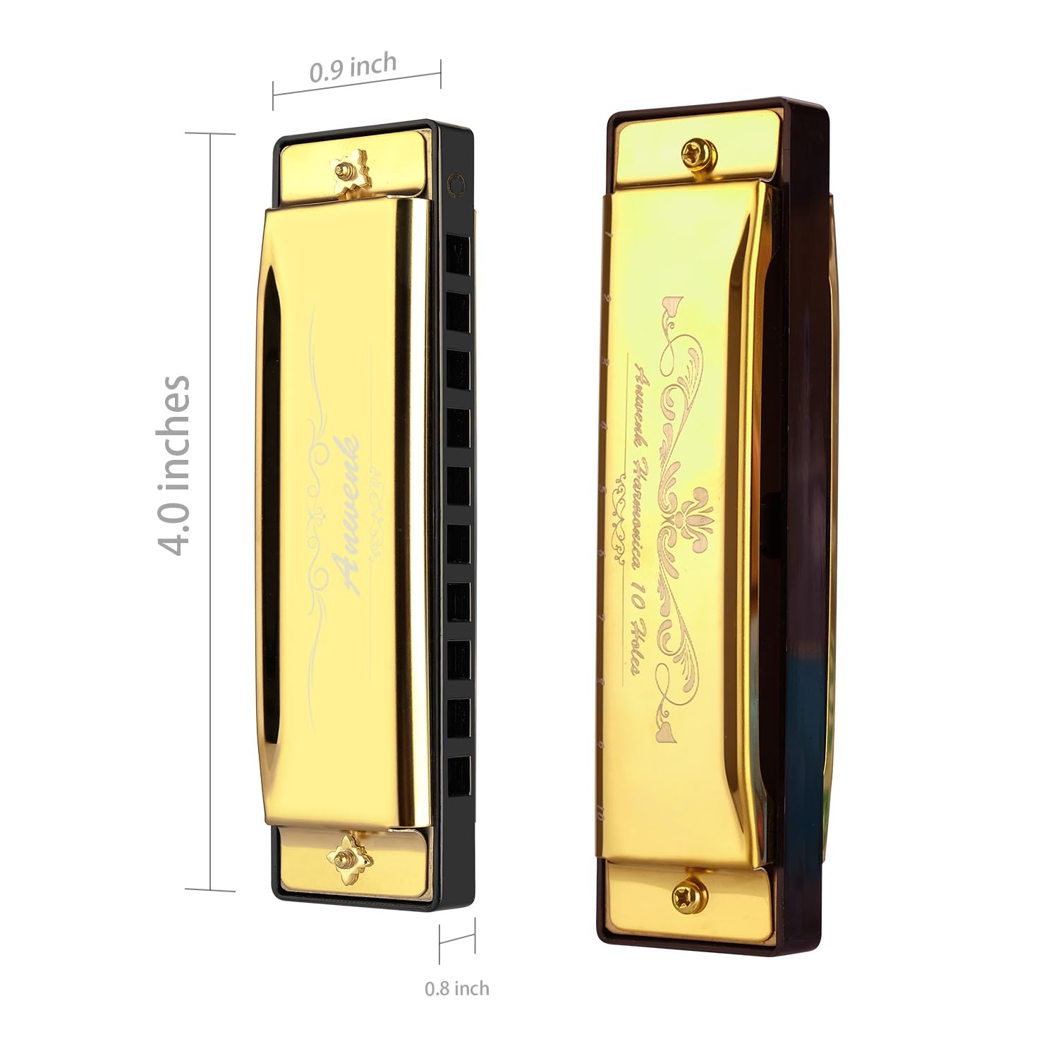 Anwenk Harmonica Key of C 10 Hole 20 Tone Diatonic Harmonica C with Case for Beginner, Gold - Image 2