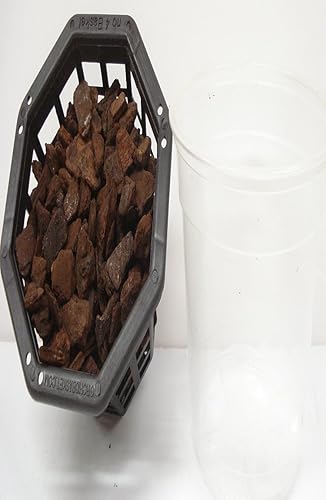 Miniatura 2 de Orquídea - Maceta de plástico transparente de 4 pulgadas y cesta de 4 pulgadas rellena con corteza de Nueva Zelanda