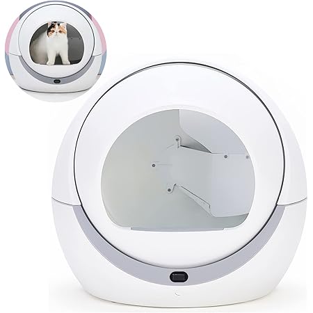 automatic cat sandbox