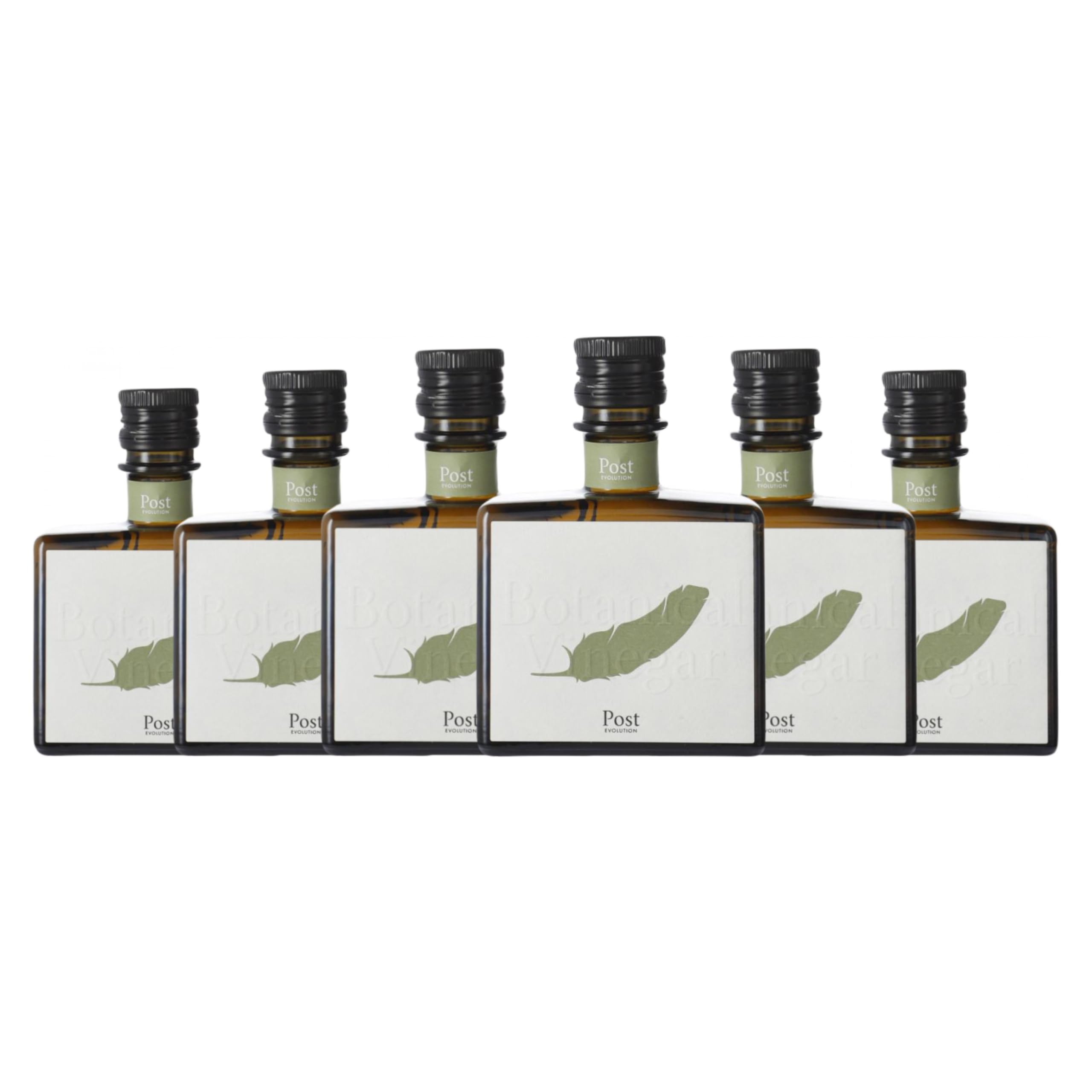 Vinagre Sicus Post Evolution Botánico Botellín 25 cl (Caja de 6 Botellín de 25 cl)