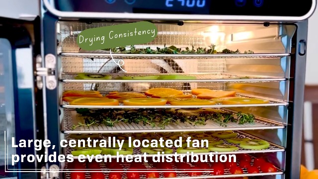 Amazon.com: NESCO 8-Tray Stainless Steel Food Dehydrator – Digital