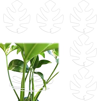 5 PCS Plant Stem Holder Support Turtle Shell Bamboo Clam Set for Climbing Plants Indoor Monstera Leaf Plant Support Accessories for Outdoor Gardens Keeps Plants Thriving Growth White