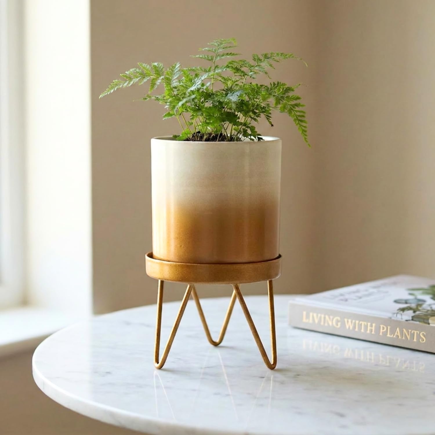 ecofynd Lucas Metal Plant Pot with Gold Stand, Modern Style Planter Set, Indoor Outdoor Home Decor Item for Garden Plants Flower, Balcony, Patio, Living Room, Garden, Bedroom (PWS032-WHTGO)-image-27