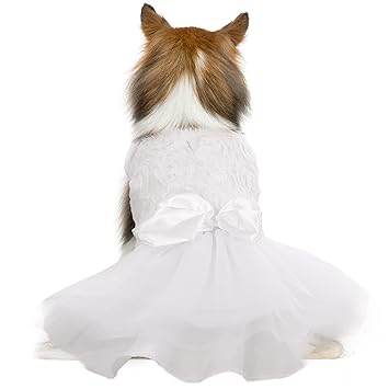 Dog Dress Tutu Skirt for Small Medium Girl Dogs Puppy??�Sweet Dog White Princess Dresses with Bowknot and Rose Decor,Pet Lace Costume Summer Apparel Formal Clothes for Wedding Party Holiday (Small)