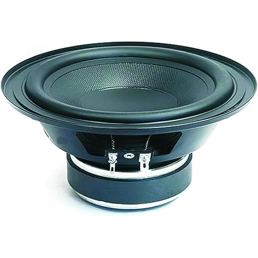 65 Inch Subwoofer with Long Strokers 65 Watts/4 Ohms for Ho