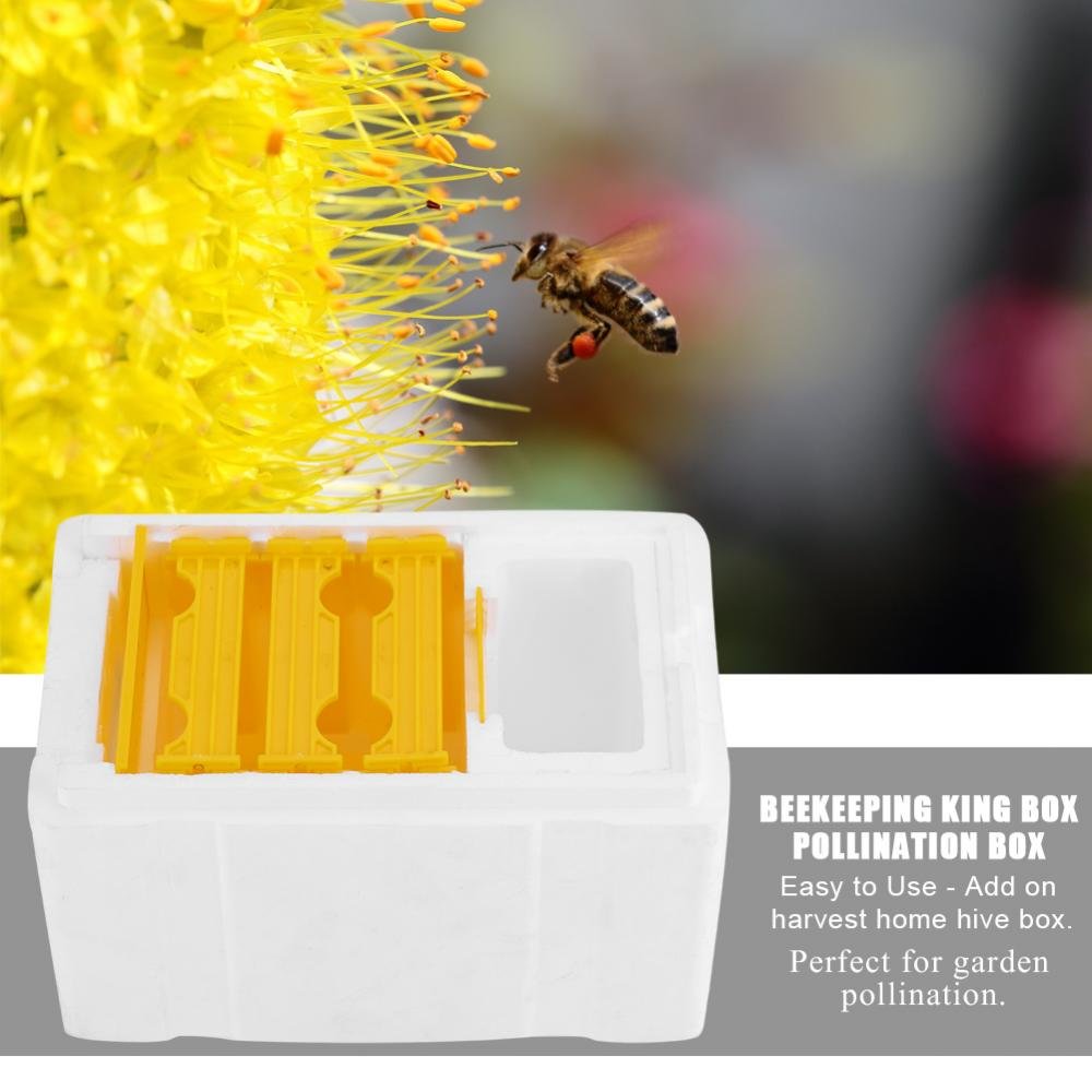 Caja de Apicultura, Marcos de Colmena, EPS, Colmena de Abejas Rey Caja de PolinizacióN, Equipo de Apicultura, 24 x 14,8 x 16,5 cm