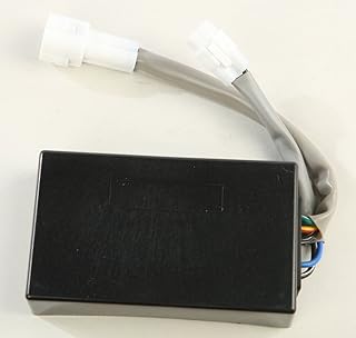 Ricks Motorsport Electric CDI Box 15-202
