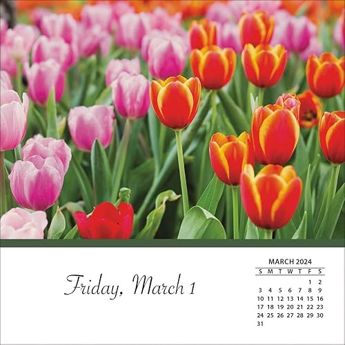 Miniatura 4 de TURNER FOTOGRAPHIC Flores Caja de fotos Calendarios (24998053103)