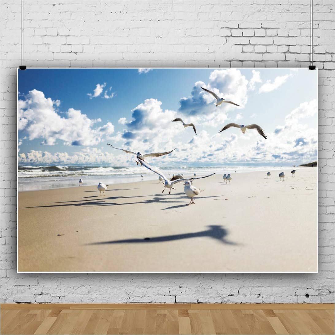Fotohintergrund 'Meer Der Wolken' – Aus Weichem Baumwoll-Vinyl, 3 × 2,4 M