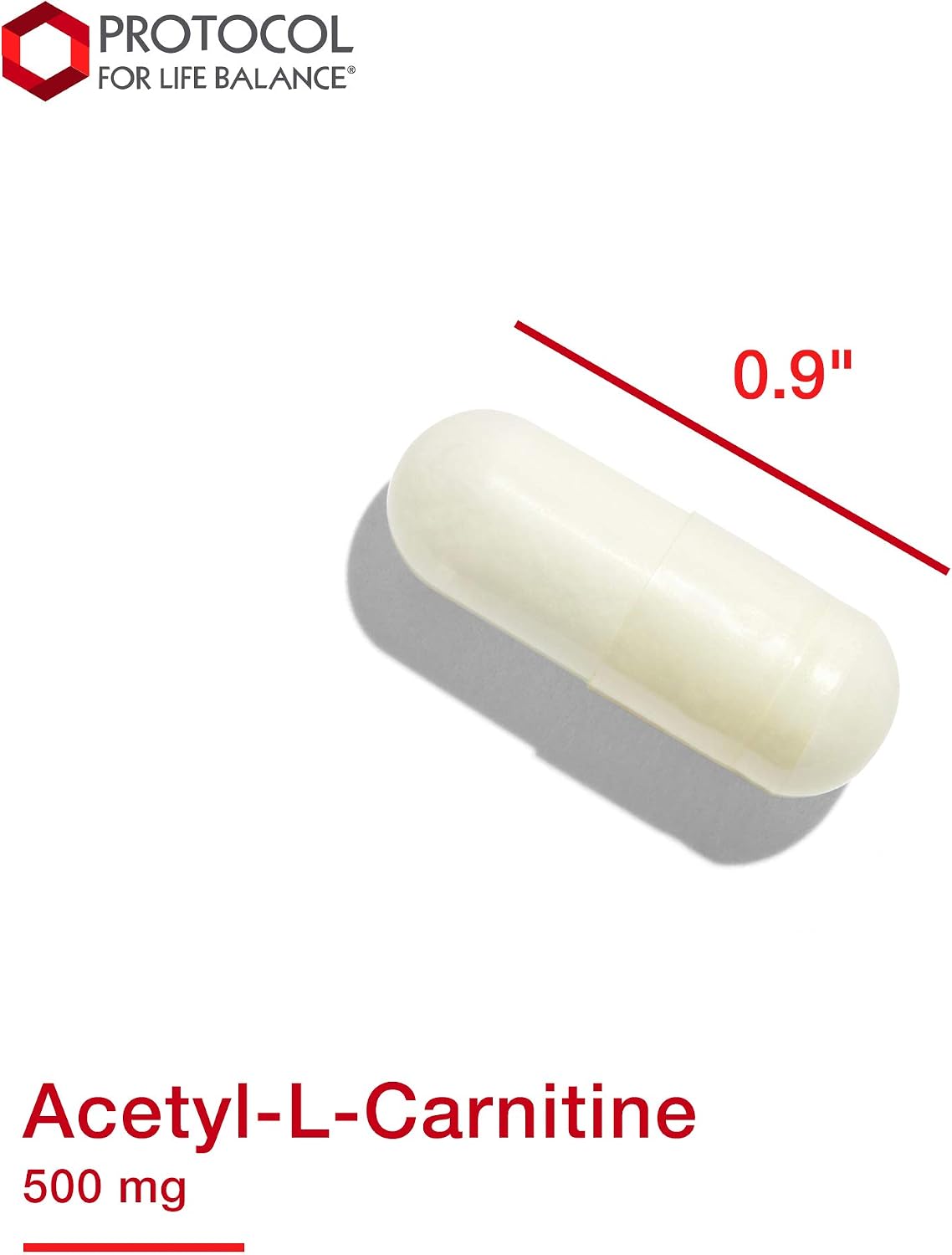 Protocol Acetyl- L-Carnitine 500mg - Energy Supplement, Nerve, and Brain Support - 100 Veg Caps
