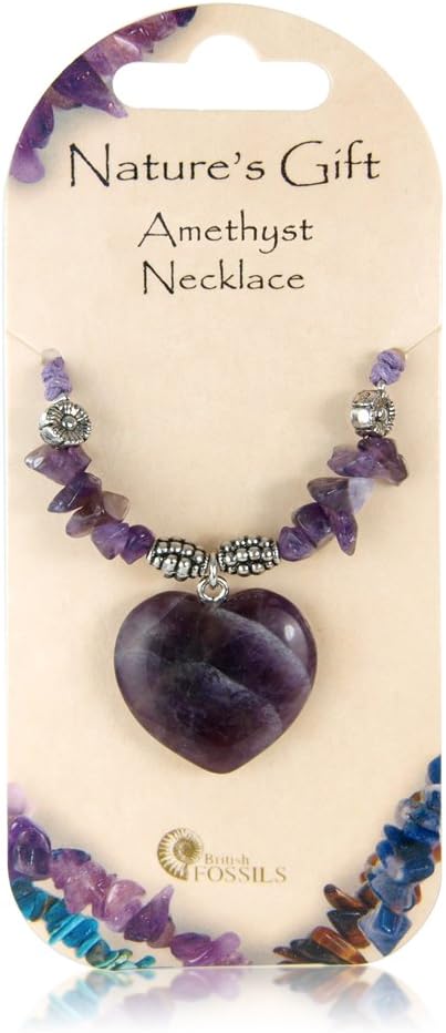 Natures Gift British Fossils Amethyst Crystal Heart Necklace