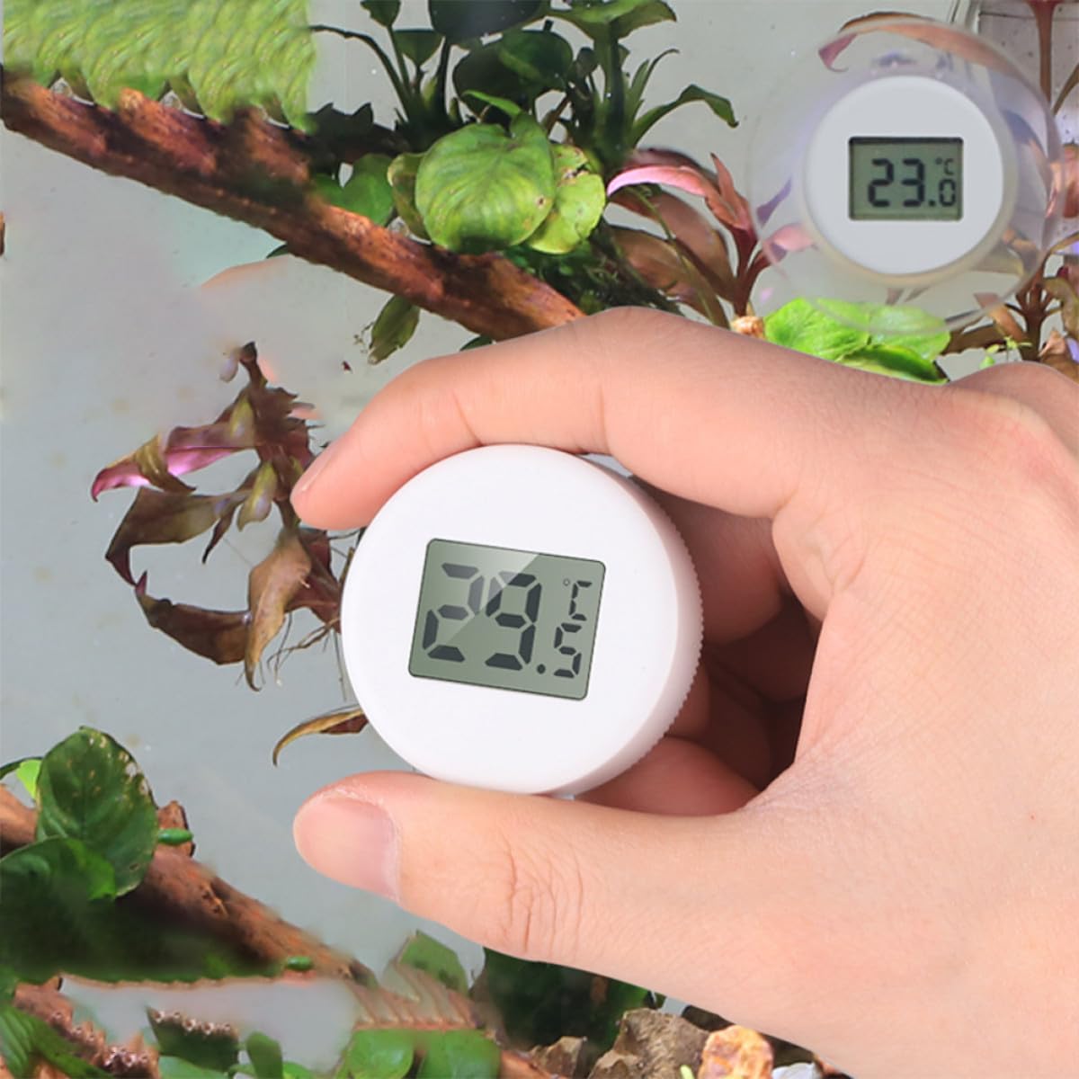 Sosoport 3 Pièces Thermomètre D'Aquarium Température De Terrarium Jauge De Température De Reptile Thermomètre D'Étang Numérique pour Aquarium De Réservoir De