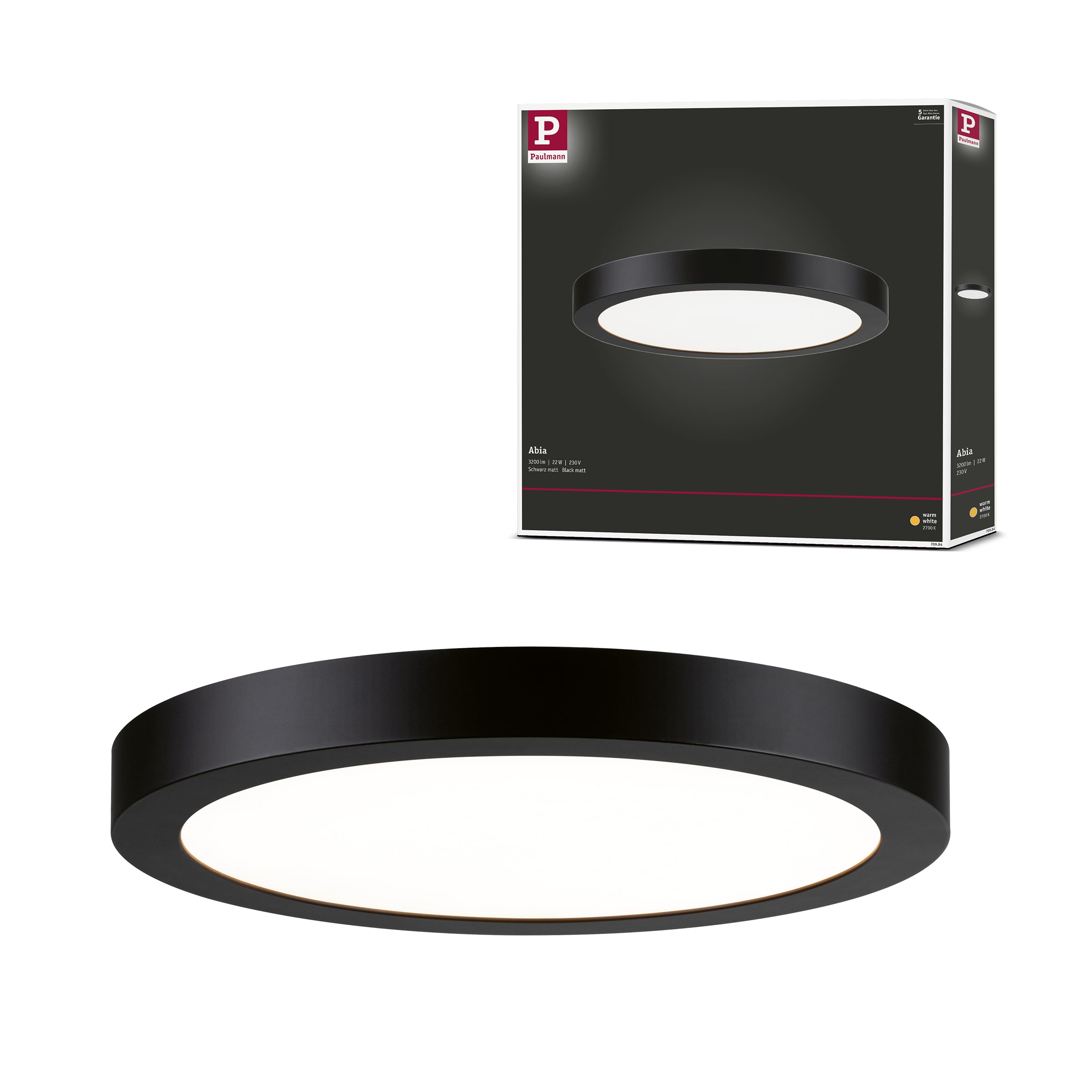Paulmann 70984 LED Panel Abia 300mm warm white round incl. 1x22 watt ceiling luminaire matt black ceiling lamp plastic living room lamp 2700 K