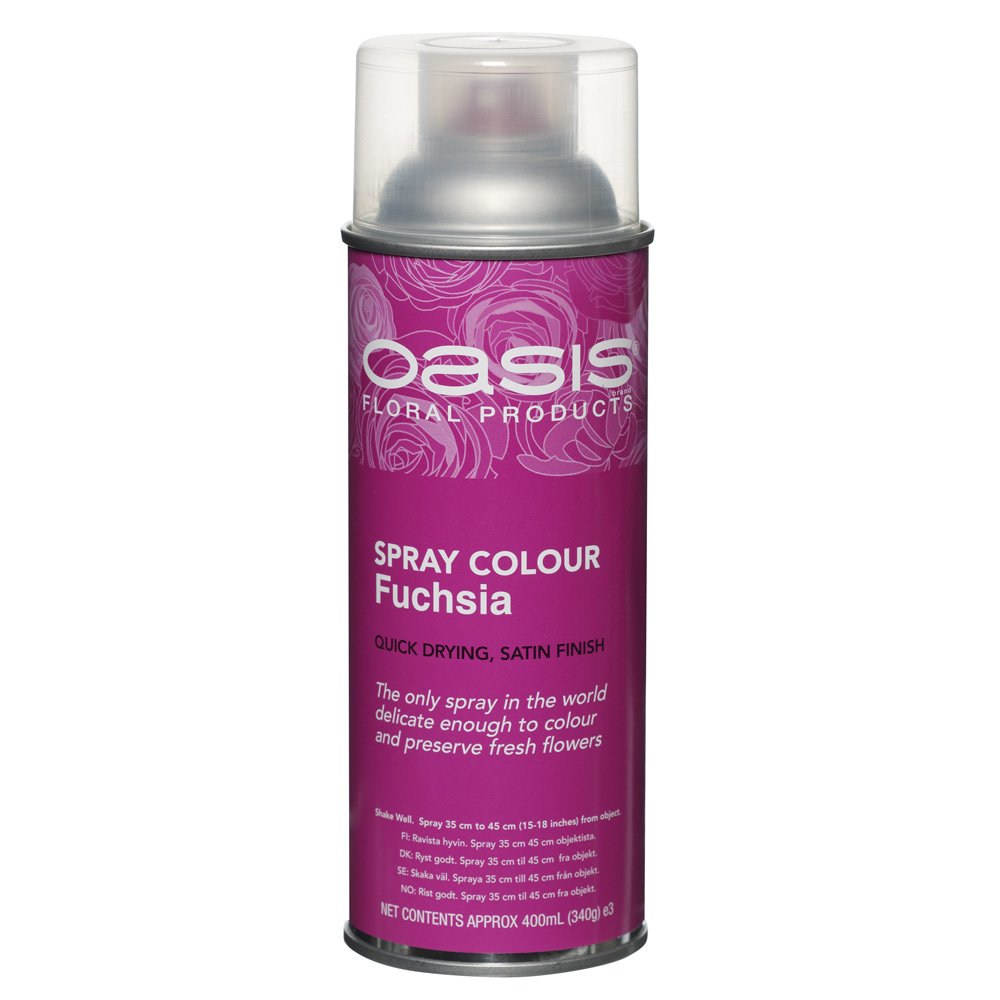Floristrywarehouse Pink, Fuchsia Pink Oasis® Spray Colour - Fuchsia (Suitable For Fresh And Dried Flowers)