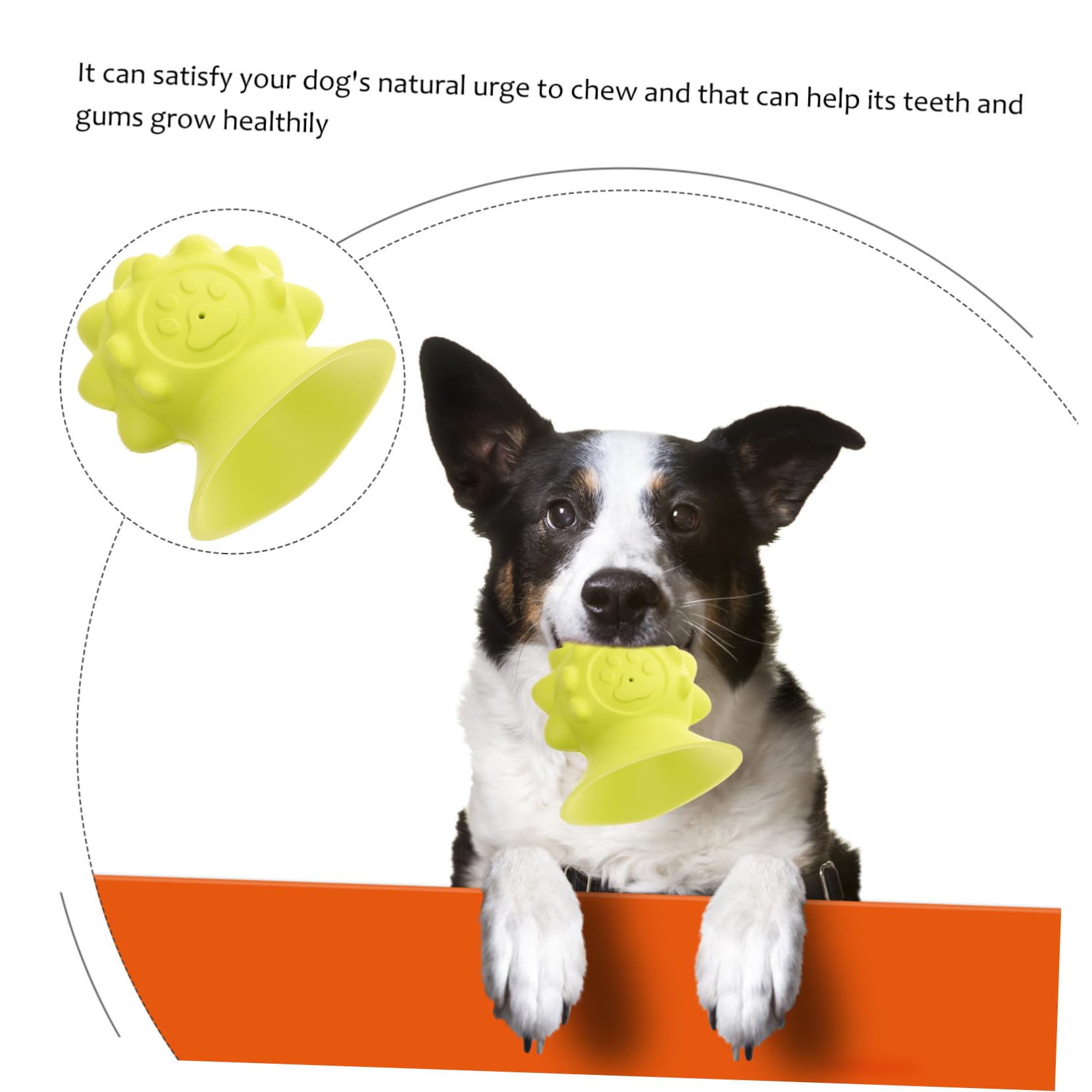 INOOMP 3piezas Juguete para De Goma Divertido y Resistente para Cachorros y Estimula La Masticación Color