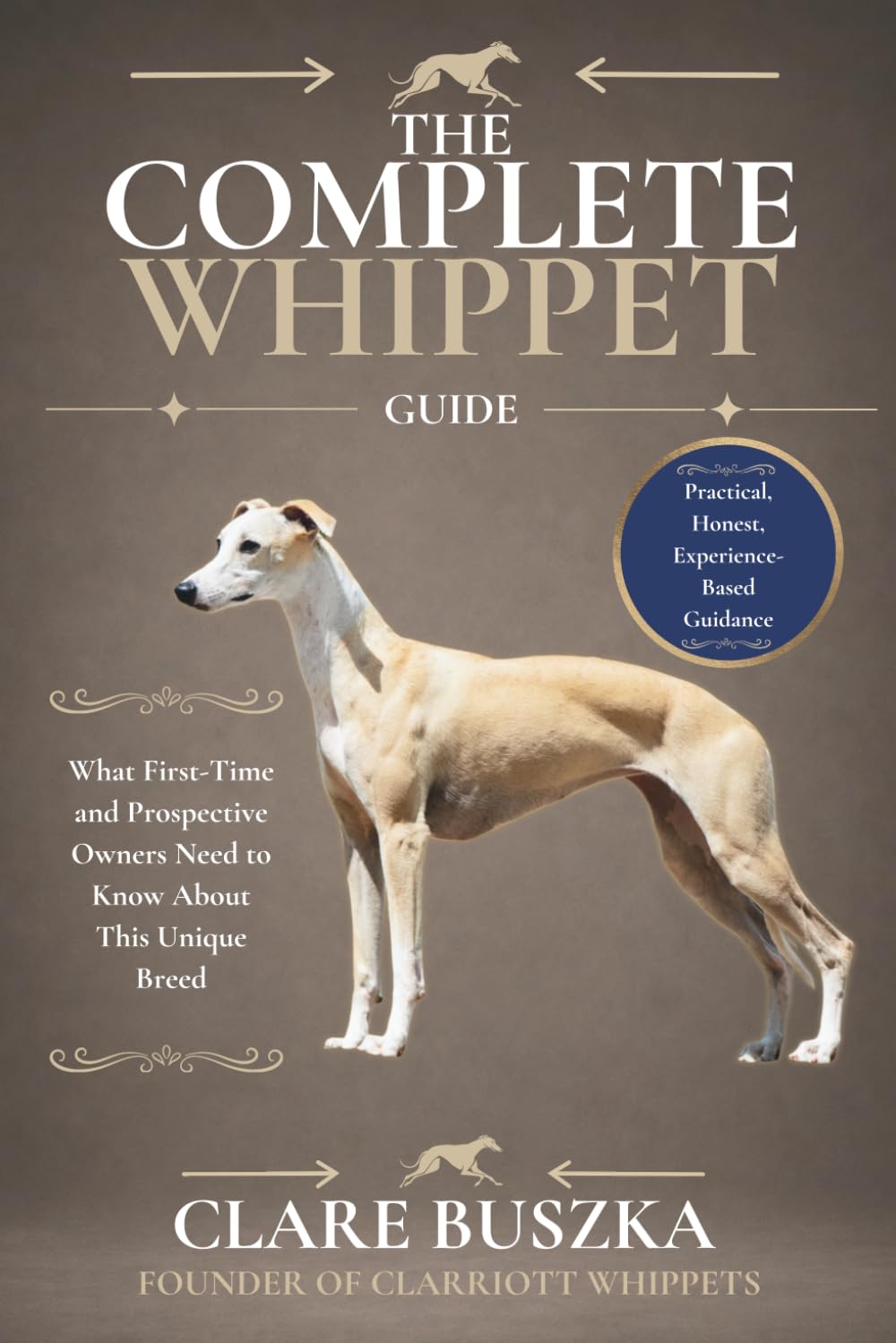 The Complete Whippet Guide: What First-Time and Prospective Owners Need to Know About This Unique Breed