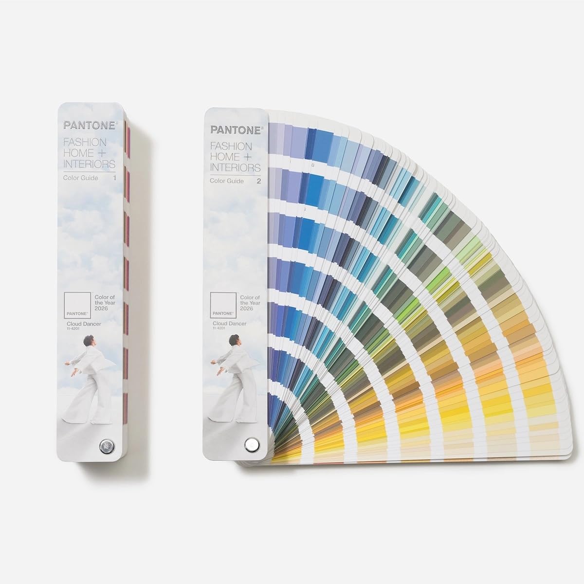 Amazon.com: Pantone FHI Color Guide - Limited Edition Color of the