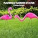 JOYIN Set of 2 Small Pink Flamingo Yard Ornament Stakes Mini Lawn Plastic Flamingo Statue with Metal Legs for Sidewalks, Outdoor Garden Decoration, Luau Party, Beach, Tropical Party Decor, 2 Styles