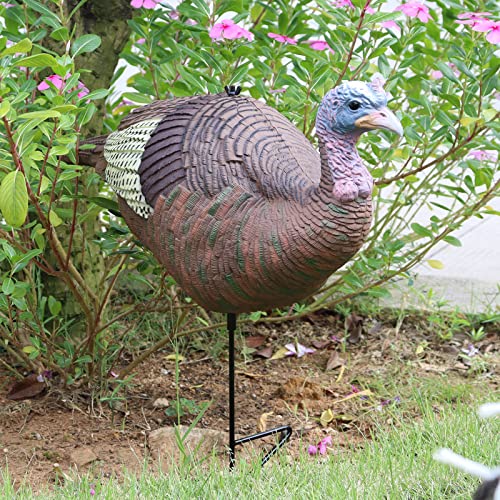 Hen Turkey Decoy, Realistic Turkey Decoys for Hunting, Lifelike Turkey for Indoor and Outdoor Garden or Holiday Decorations, Light-Weight
