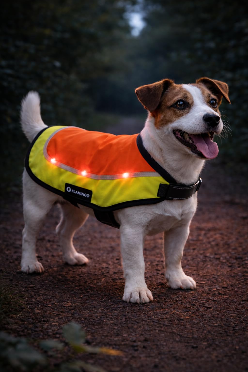 Impermeable Chien - Gilet sécurité LED Simi Fluo Orange 30 cm - réfléchissant - Batterie Rechargeable