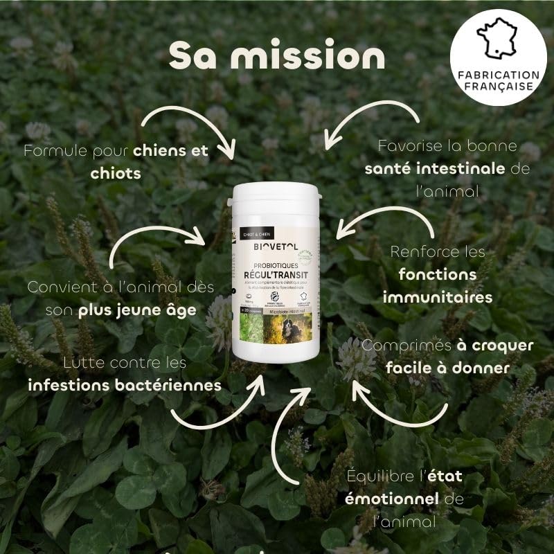 Biovetol - Probiótico - Comprimidos Regul'Transit - Complemento alimenticio especial de tránsito (perro, lote de 3)