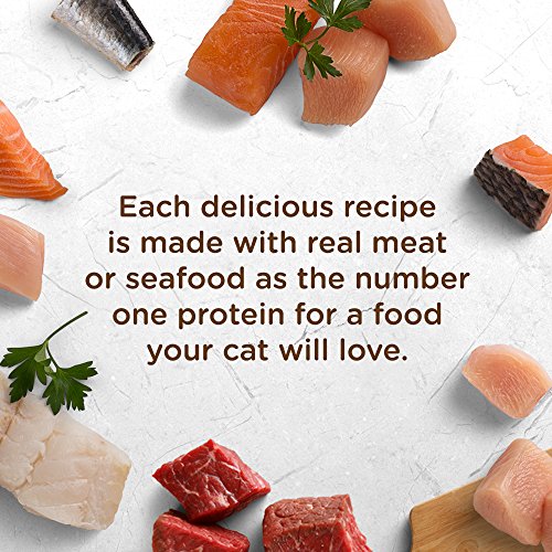 Rachael Ray Nutrish Natural Wet Cat Food, Surf 'N Turf Variety Pack, 2.8 Ounce Cup (Pack Of 24), Grain Free #TOP2