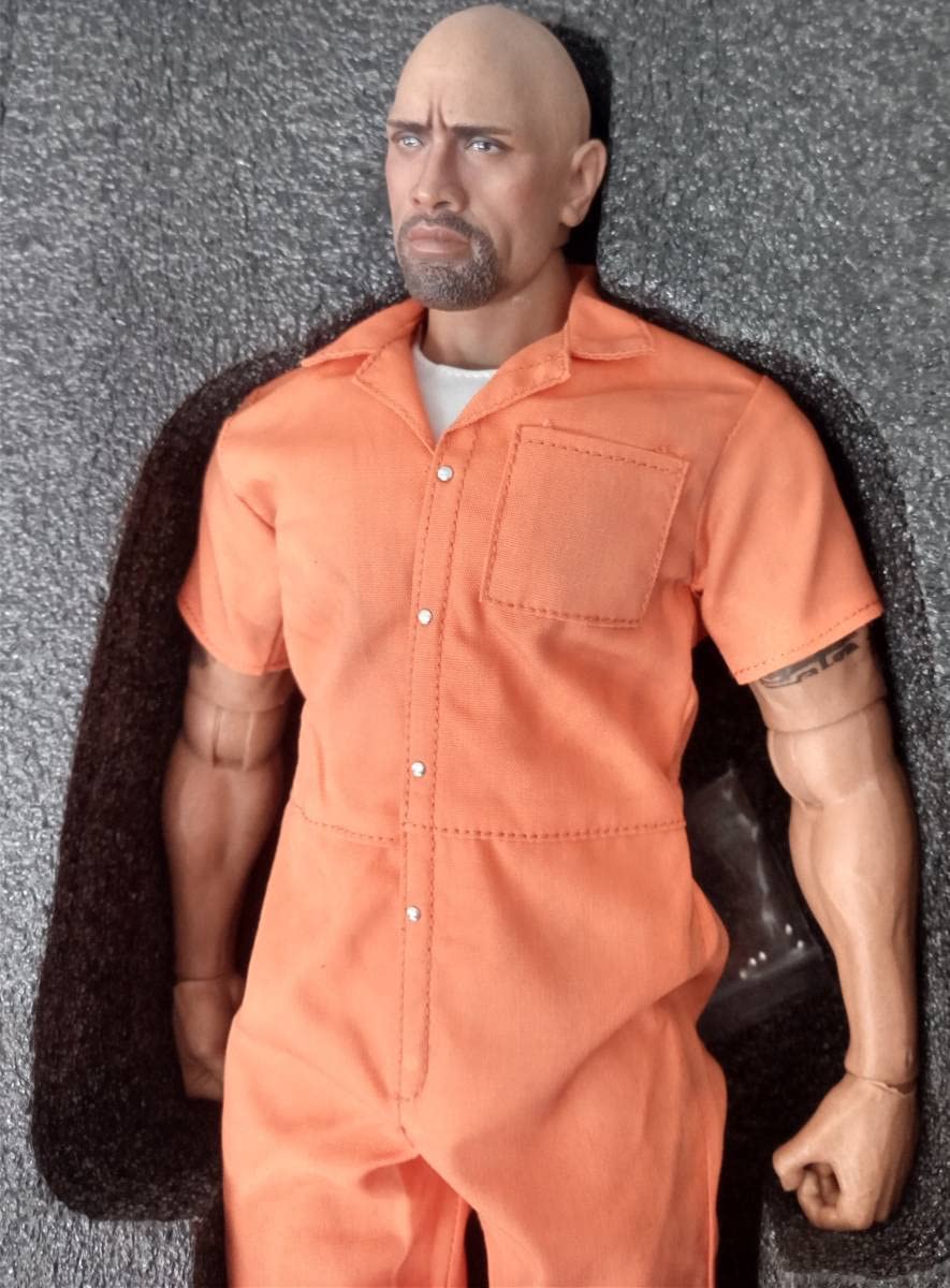 Amazon | 1/6 ドウェイン・ジョンソン アクションフィギュア ザ