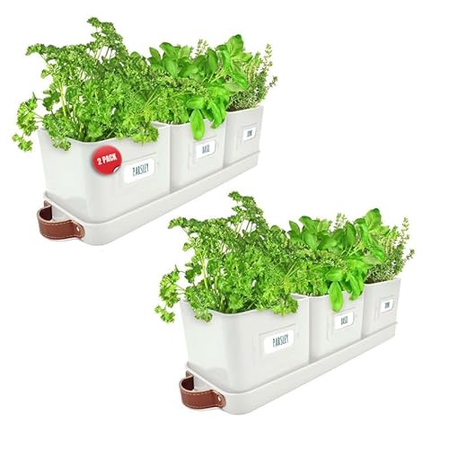 Green Thumbz Herb Pots for Kitchen Windowsill - 2 Pack Warm Stone Herb Planter Indoor with Leather Handled Tray - Ideal for an Indoor Herb Garden, Plants and Flowers - Labels Included