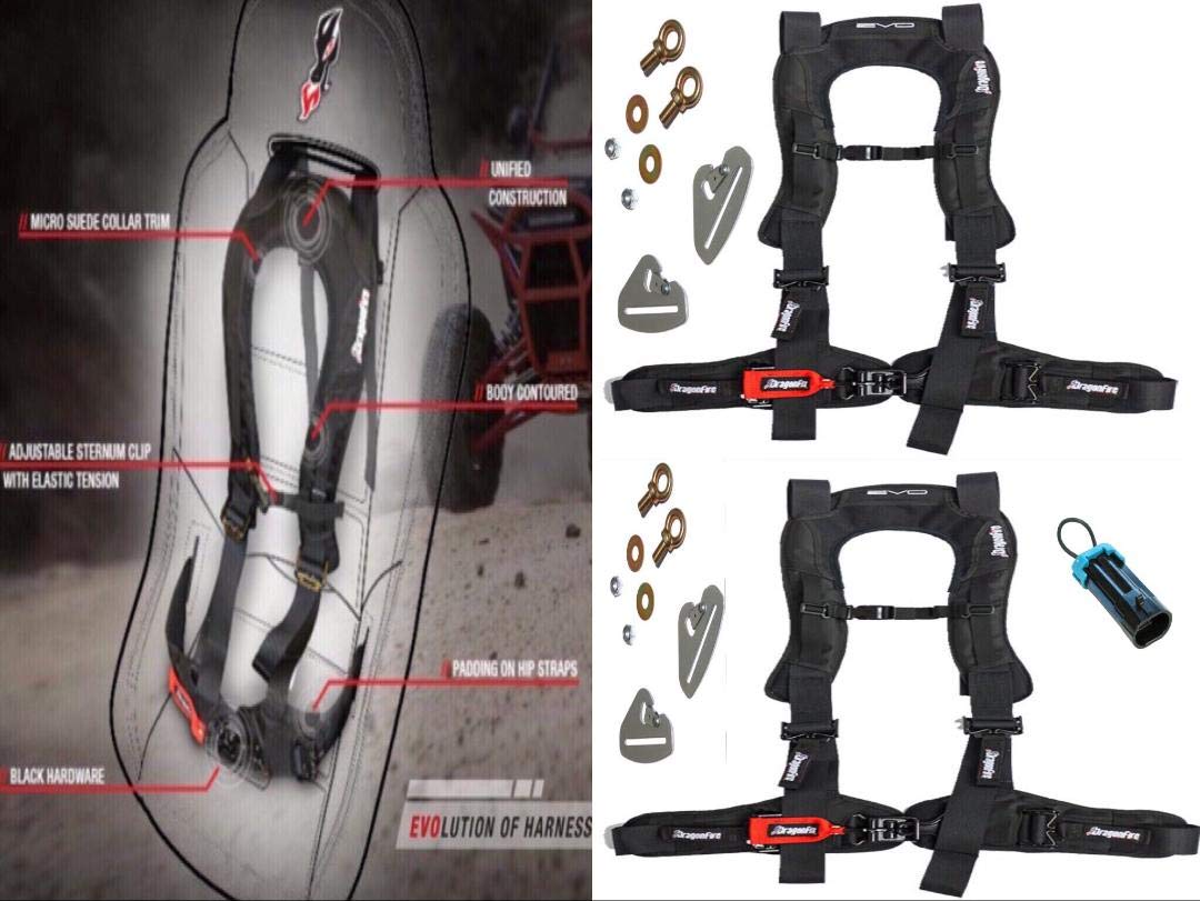 Buy 4 Point Harness EVO By Dragonfire Racing Set of 2 with quick