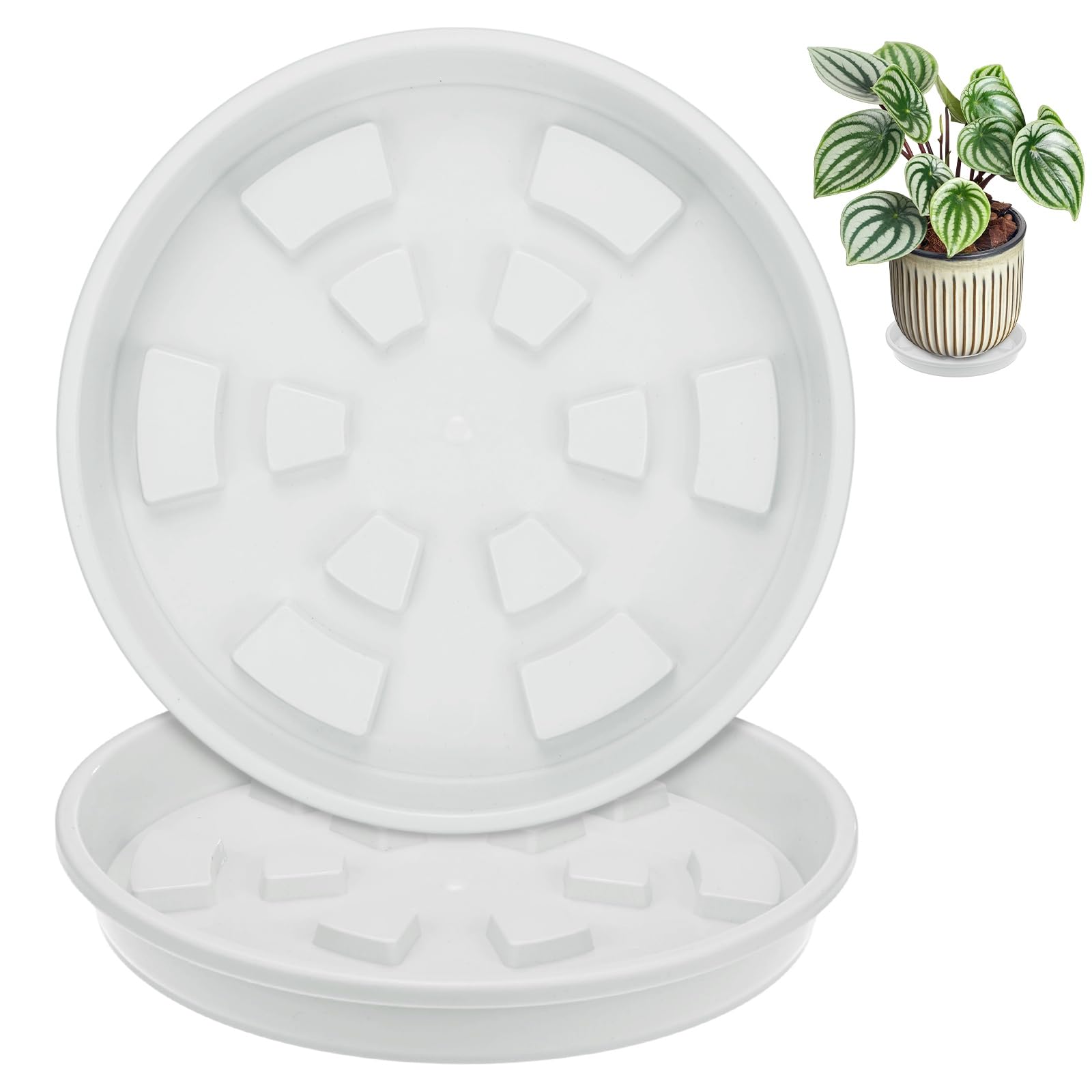 Sous-pots plastique anti-fuite pour éliminer l'eau stagnante de vos plantes