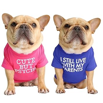 KUTKUT Set of 2 Pet Dog Breathable Stretchy Round Neck T-Shirt | Pet Puppy Cats Dog Summer Soft Cotton Tshirt| French Bulldog Dog Shirt (Size: L, Chest: 46cm, Length: 30cm)
