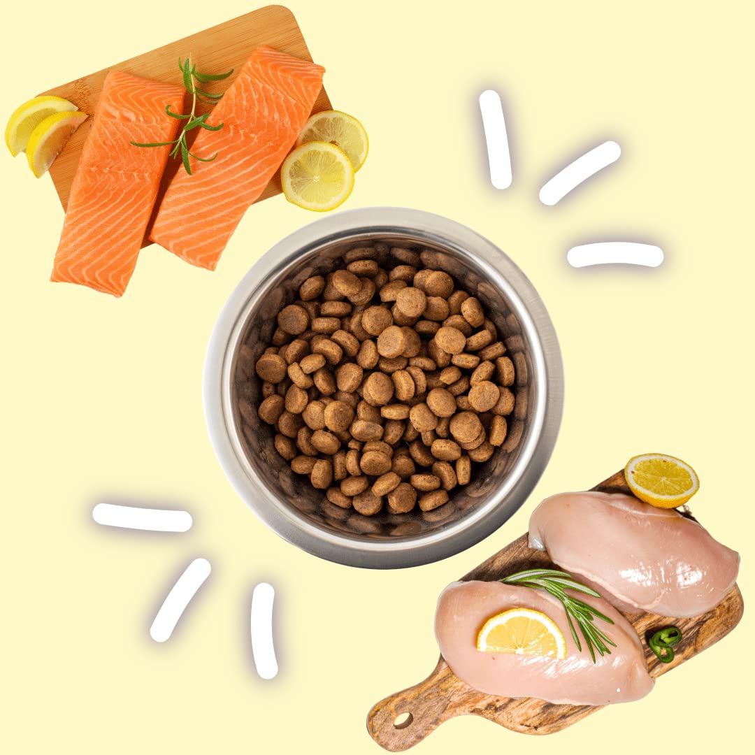 Nourriture Beppo - Nourriture sèche pour chats stérilisés - Croquettes sans céréales de haute qualité : grains libres et sans gluten - Aliment complet - 1,5 kg (saumon au poisson blanc)