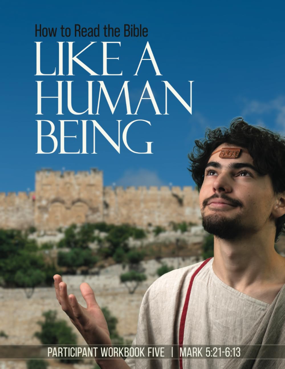 How to Read the Bible Like a Human Being | Workbook Five: Mark 5:21 - 6:13