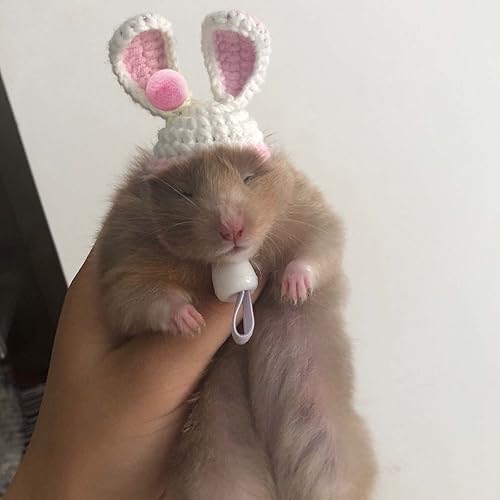 Miniatura 5 de Mini sombrero de punto a mano, sombrero pequeño para mascotas para animales pequeños como hámsters, ratas, serpientes, lagartos, conejillos de