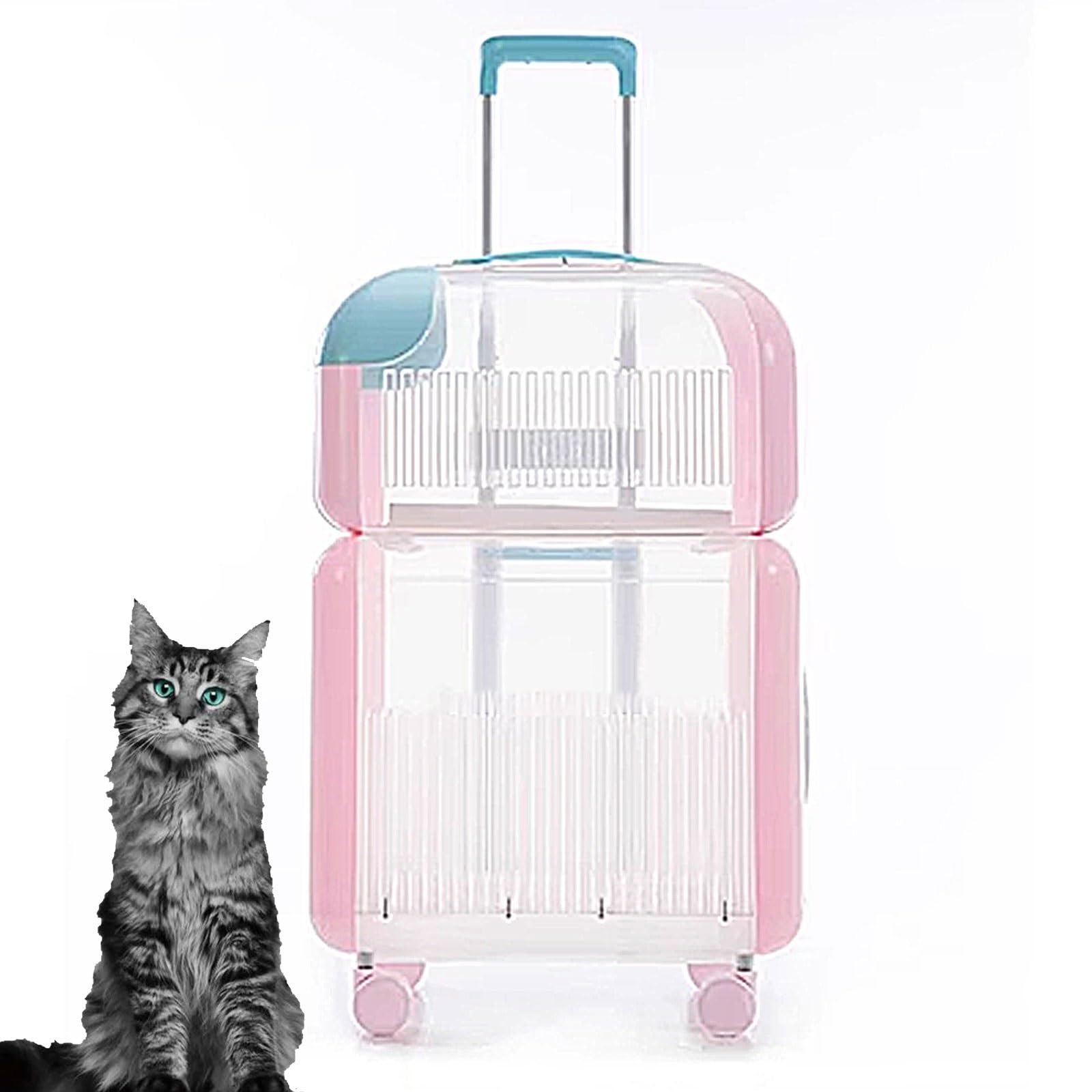 Amazon.com: GAMAK Clear Plastic Detachable Double Cat Carriers on