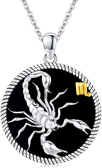 12 Constellation Necklace 925 Sterling Silver Zodiac Sign Coin Pendant Necklaces Black Onyx Astrology Horoscope Jewelry Birthday Gifts for Women Men