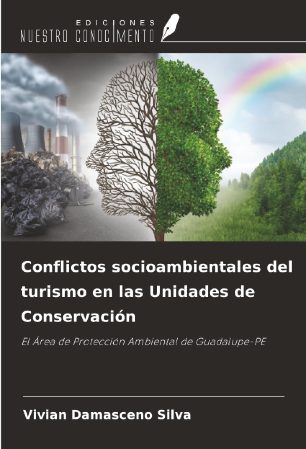 Conflictos socioambientales del turismo en las Unidades de Conservación: El Área de Protección Ambiental de Guadalupe-PE