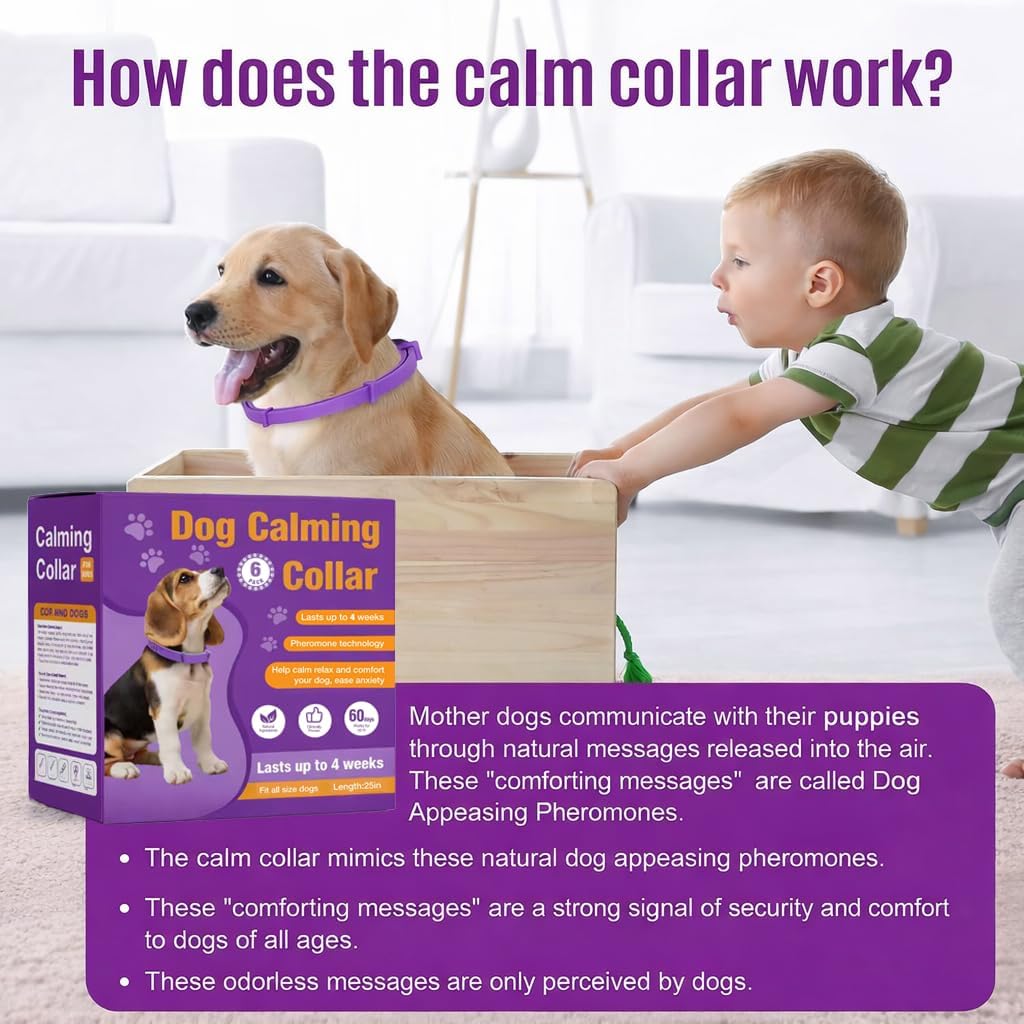 Calming Collar for Dogs, 6 Packs Dog Pheromone Calm Collars to Relieve Anxiety Bad Behavior, Long Lasting Pheromone for 60 Days, 25 Inches Adjustable for Small Medium and Large Dog (Pruple)