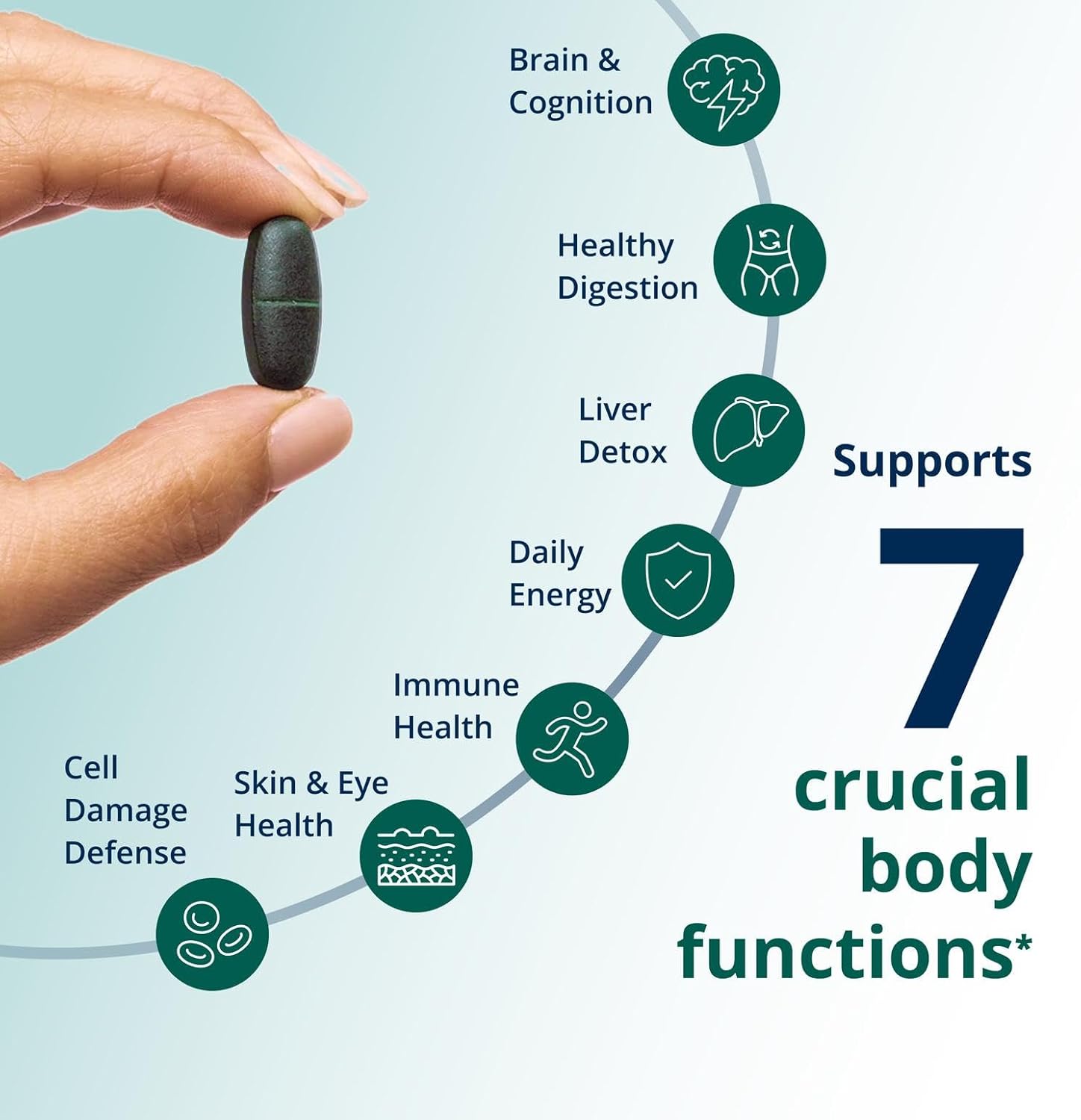 Metagenics PhytoMulti Multivitamin - 20+ Essential Vitamins & Minerals with Phytonutrients - Supports Healthy Aging, Cellular Health, Energy & Immune Function - Non-GMO & Gluten-Free - 60 Capsules