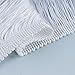 10 Yards 12'' Width Fringe Trim Tassel Sewing Trim Lace Polyerter Fibre Tassel for Clothes Accessories Latin Wedding Dress and DIY Lamp Shade Decoration (White)