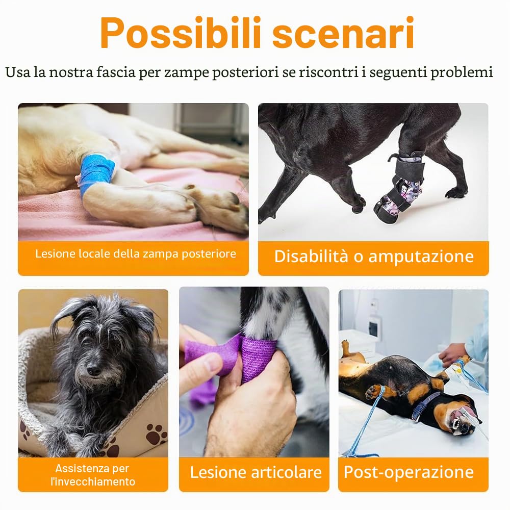 Imbracatura per Cani, Pettorina di Sollevamento per Cane Riflettente con Maniglia e Cinghie Regolabili, Supporto per Cani Anziani, Malati, Feriti, Disabili